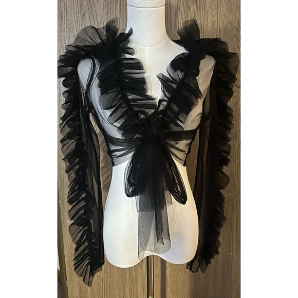 Black Sheer Mesh Long Sleeve Tie Front Crop Top - Picture 2 of 5